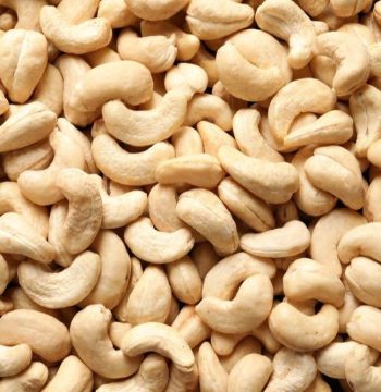 cashew-kernel-nuts