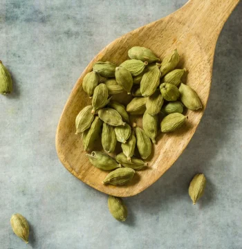 green_cardamom_98f20dd3-444a-4c27-87e2-00906eed4b45_1024x
